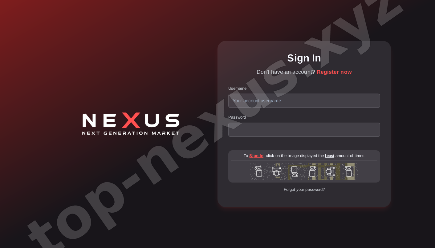 Login Interface